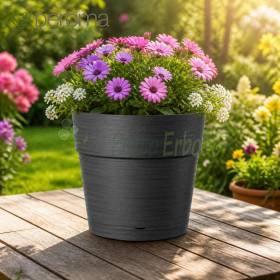 Save pot - 24.5 cm round anthracite pot Deroma - 1