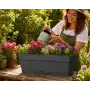 Save window box - Vaso a cassetta da 49 cm antracite