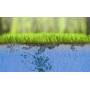 Water Plus - tensioactivo y humectante para césped de 1 litro (OFERTA)
