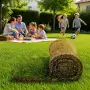 40 m2 de gazon prêt à l'emploi en rouleaux