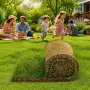 200 m2 de gazon gata făcut în rulouri
