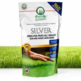 Plata - 1,2 kg de semillas para césped Herbatech - 1