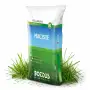 Maciste - 20 kg de semillas para césped
