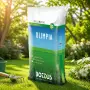 Olimpia - Semences pour gazon 20 kg