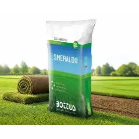 Smeraldo - Sementi per prato da 20 kg