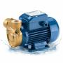 PQm 80-Bs - 1 HP single-phase electric pump with peripheral impeller