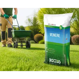 Vénus - Semences pour gazon 20 kg