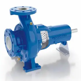 FG2-80/250B - Bomba centrífuga estandarizada con soporte Pedrollo - 1
