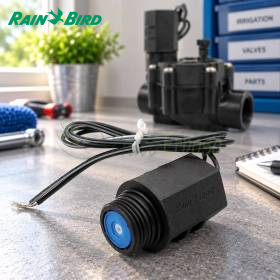Solénoïde 24 V Rain Bird RPKSOLENOI avec fils pour électrovanne d’irrigation