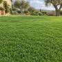 Meadow SICILY