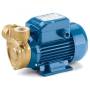 PQm 60-Bs - Electrobomba con impulsor periférico monofásico de 0,40 HP