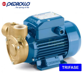 PQ 60-Bs - Pompă electrică cu rotor periferic trifazat de 0,40 CP Pedrollo - 1
