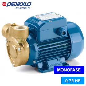 PQm 65-Bs - Pompe électrique avec roue périphérique monophasée de 0,75