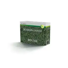 Dicondra Repens - Sementi per prato da 100 g