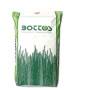 Dicondra Repens - 5 kg de semillas para césped