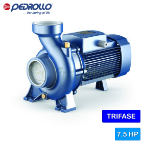 HF 30B - 7.5 HP three-phase centrifugal electric pump Pedrollo - 1