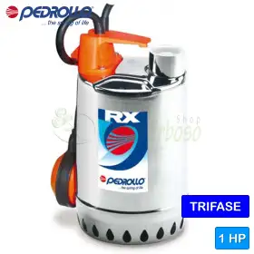 Pompe à eau claire triphasée RX 4 - 1 HP