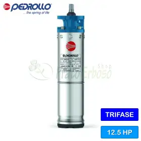 6PD/12,5 - 6" 12,5 CP motor trifazat rebobinabil