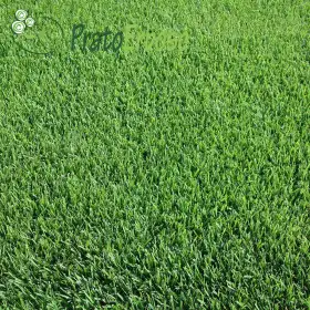 Césped DEPORTIVO Prato Erboso - 1