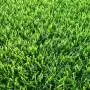 Meadow SICILY Prato Erboso - 1