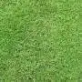 Meadow CHARM Prato Erboso - 1
