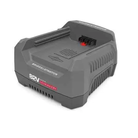 Carica batterie rapido EBSRC82 82V per Snapper