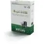 Royal Blend - 1 kg de semillas de césped