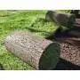 80 m2 of ready-made lawn in rolls Prato Erboso - 2