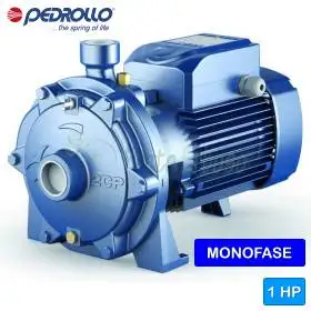 2CPm 25/130 - Elettropompa centrifuga bigirante monofase da 1 HP Pedrollo - 1 2CPm 25/130 - Elettropompa centrifuga bigirante monofase da 1 HP Pedrollo - 1