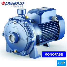 Bomba centrífuga eléctrica monofásica de doble impulsor de 2CPm 25/130 - 1 HP