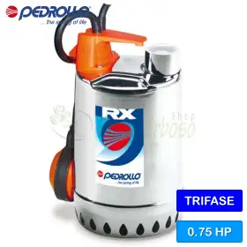 RX 3 (10m) - Elettropompa per acque chiare trifase da 0.75 HP RX 3 (10m) - Elettropompa per acque chiare trifase da 0.75 HP