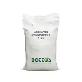 Agrostide Stolonifera Alpha - 1 kg Farë Lëndinë