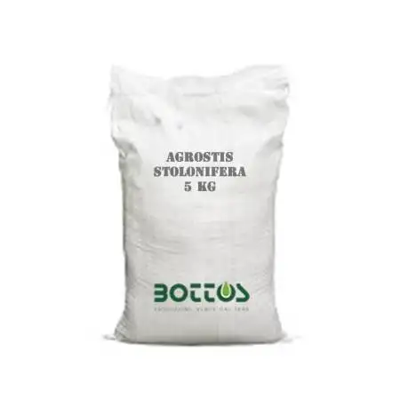 Agrostide Stolonifera Alpha - 1kg Rasensamen
