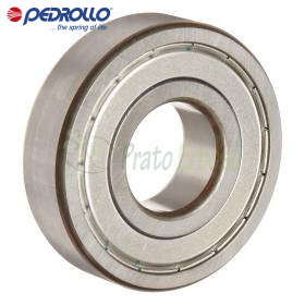 6309 ZZ-C3 - Kugellager 45x100x25 mm Pedrollo - 1