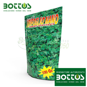 Dwarf Clover - 100g Lawn Seed