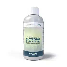 Si-STRONG - Bioinducteur de défense naturelle 1 kg