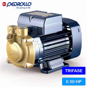 PV 60 - Elettropompa con girante periferica trifase da 0.50 HP Pedrollo - 1