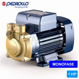 PVm 70 - Pompe électrique avec roue périphérique monophasée de 1 CV Pedrollo - 1