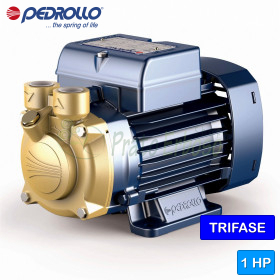 PV 90 - Pompe électrique avec roue périphérique triphasée de 1 HP Pedrollo - 1