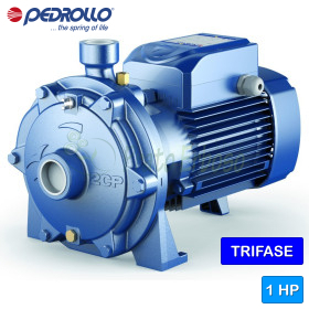 2CP 25/130 - 1 HP three-phase twin-impeller centrifugal pump Pedrollo - 1