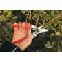 Felco 6 - Reb-und gartenscheren schneiden 20 mm Felco - 8