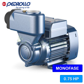 PKSm 65 - Pompe électrique auto-amorçante avec turbine périphérique monophasée de 0,75 CV