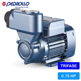 PKS 65 - Pompë elektrike vetë-mbushëse me shtytës periferike trefazore 0,75 HP Pedrollo - 1 PKS 65 - Pompë elektrike vetë-mbushëse me shtytës periferike trefazore 0,75 HP Pedrollo - 1