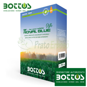 Royal Blue Plus - 1 kg de semillas para césped