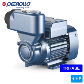 PKS 80 - Elettropompa autoadescante con girante periferica trifase da 1 HP Pedrollo - 1 PKS 80 - Elettropompa autoadescante con girante periferica trifase da 1 HP Pedrollo - 1