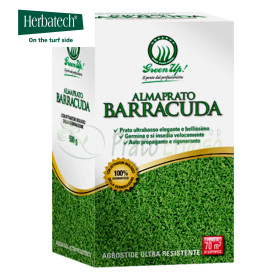 Almaprato Barracuda - 500 g de graines de gazon