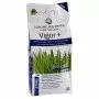 Vigor Plus - 4 kg de fertilizante para césped
