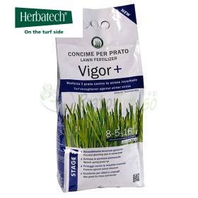 Vigor Plus - Fertilizzante per prato da 4 Kg Herbatech - 1