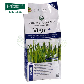 Vigor Plus - îngrășământ pentru gazon de 4 kg