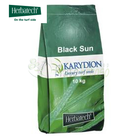 Soleil Noir - 10kg Semences à Gazon